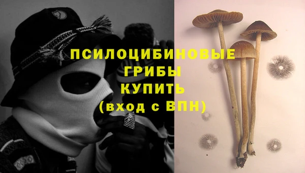 спиды Алзамай