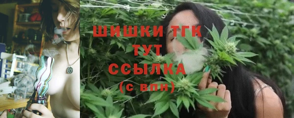 ECSTASY Абаза