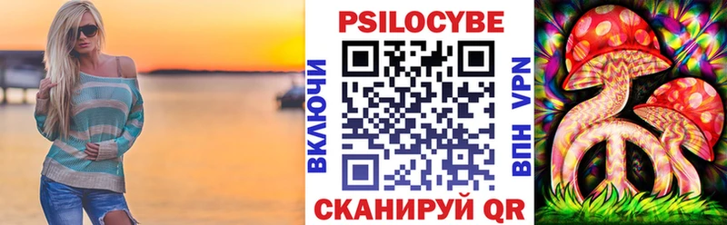Псилоцибиновые грибы Cubensis  Осташков 